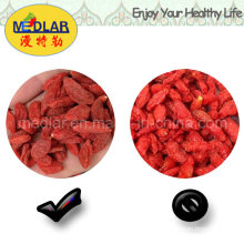 Méduse Goji Berry Chinois Wolfberry